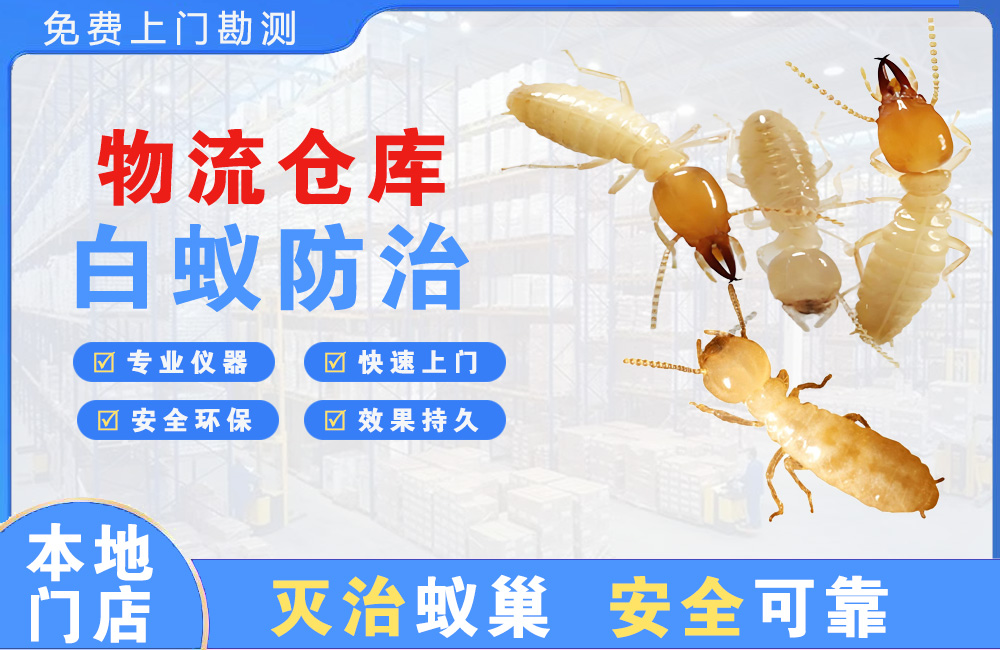 衢州物流仓库白蚁防治