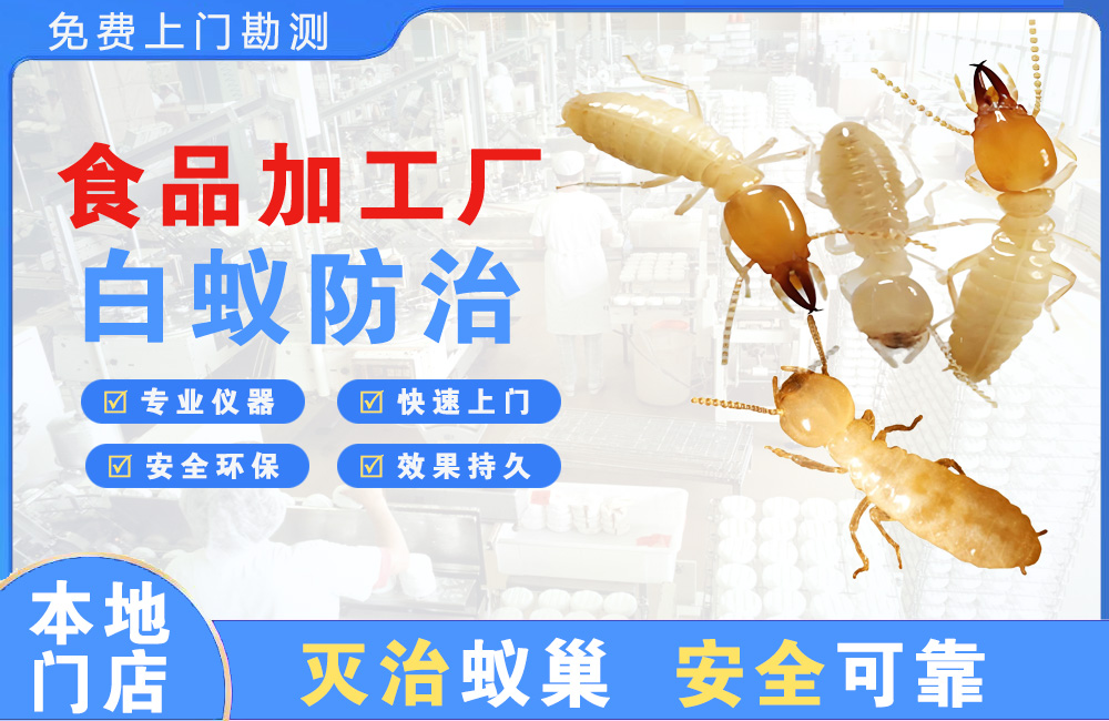 衢州食品加工厂白蚁防治