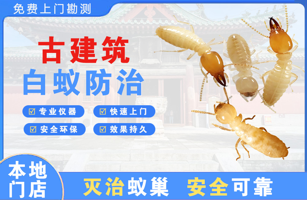 衢州古建筑白蚁防治