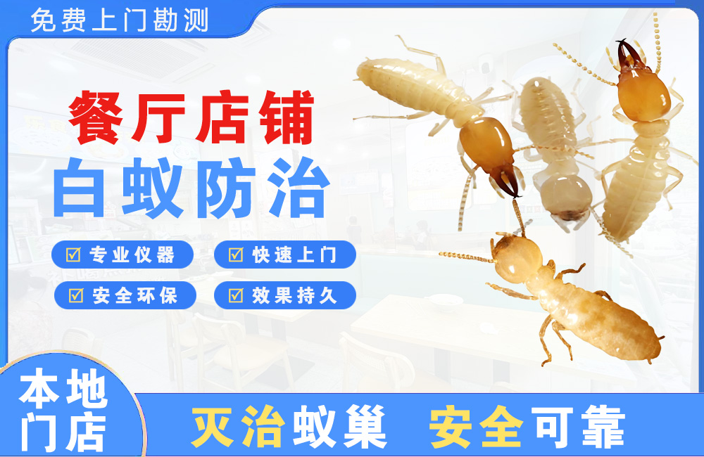 衢州餐厅店铺白蚁防治